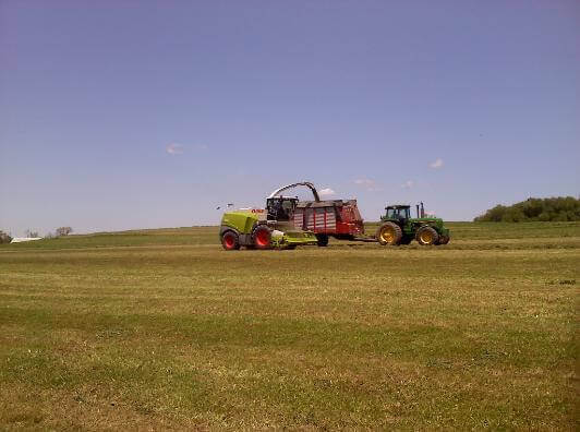 CLAAS Jaguar 950 Forage Harvester