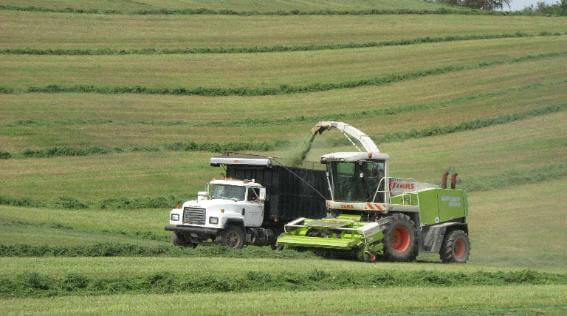 CLAAS Jaguar 8700 Mower, CLAAS Liner 1750 Rake, CLAAS Jaguar 900 Forage Harvester