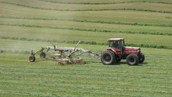 CLAAS Jaguar 8700 Mower, CLAAS Liner 1750 Rake, CLAAS Jaguar 900 Forage Harvester