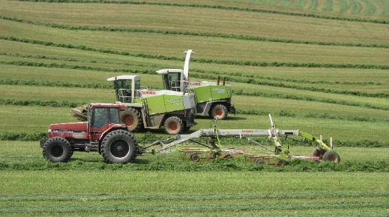 CLAAS Jaguar 8700 Mower, CLAAS Liner 1750 Rake, CLAAS Jaguar 900 Forage Harvester