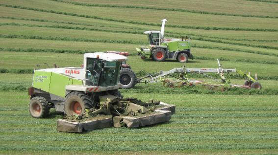 CLAAS Jaguar 8700 Mower, CLAAS Liner 1750 Rake, CLAAS Jaguar 900 Forage Harvester